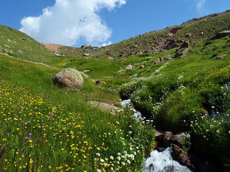روستای آلووراس سرعین