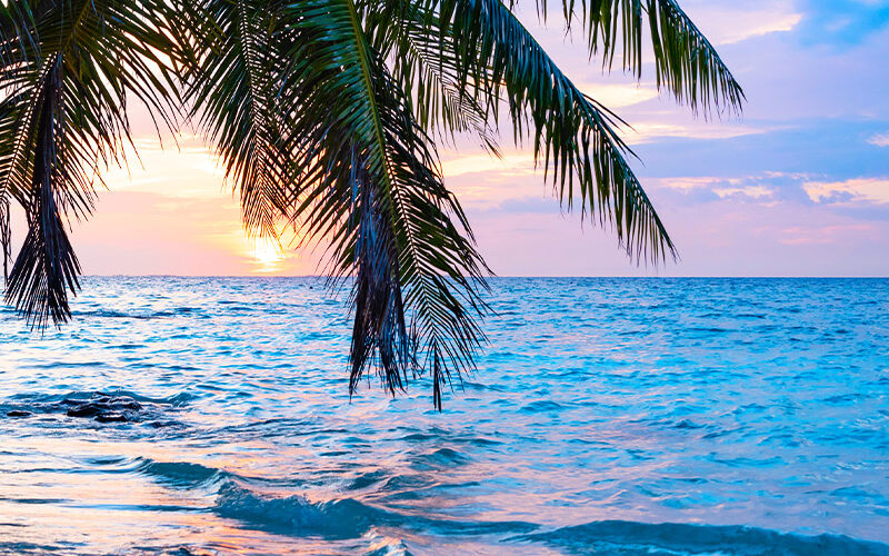 kish-island جزیره کیش