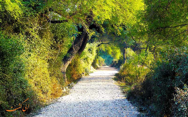 مسیرهای دوچرخه سواری در پارک ملی