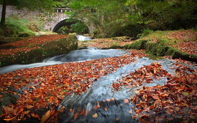 ویکلو در ایرلند، تماشای آبشارهای پاییزی پرآب در اروپا