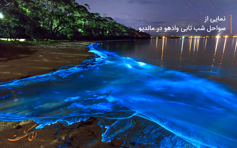 سواحل شب تابی وادهو در مالدیو