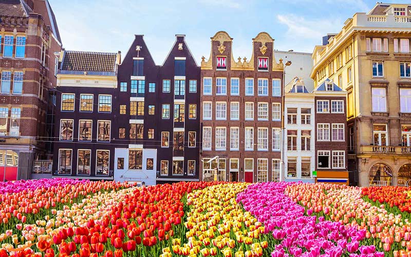 زندگی در آمستردام، شهر گل ها