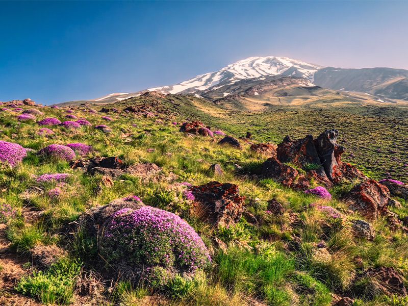 شهرهای نزدیک تهران برای مسافرت - الی گشت