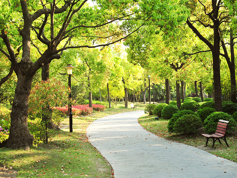 پارک ساعی