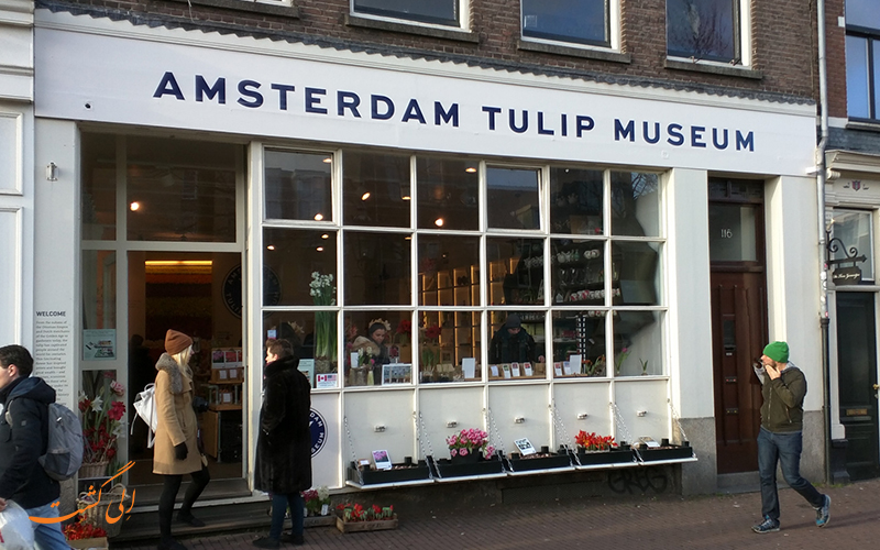 موزه گل لاله در پایتخت هلند