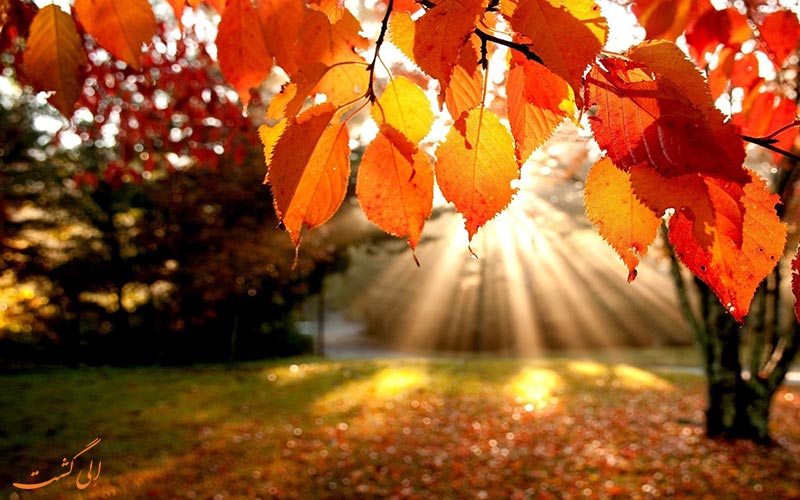 پاییز، فصل دل‌انگیز سفر