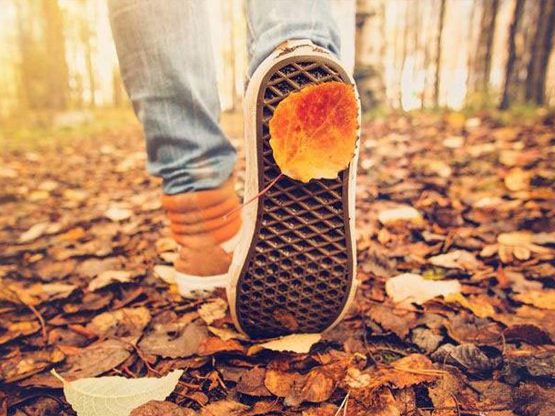 کفش راحتی در سفر پاییز - الی گشت