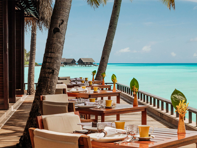 بهترین رستوران های مالدیو - الی گشت
