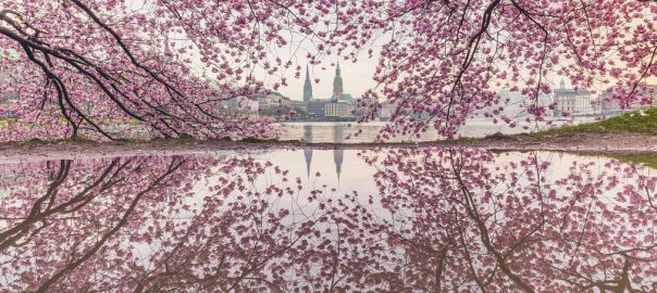 راهنمای سفر به بن