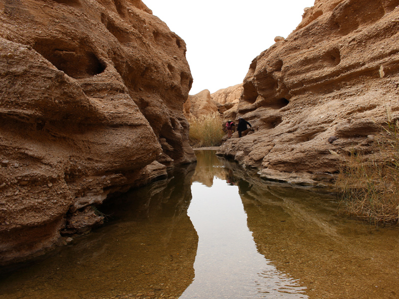 کال جنی