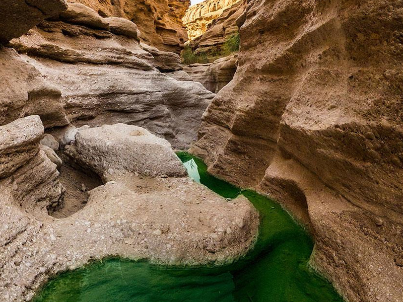 کال جنی