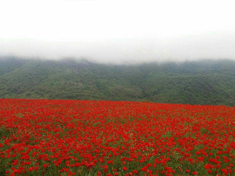 اسالم به خلخال