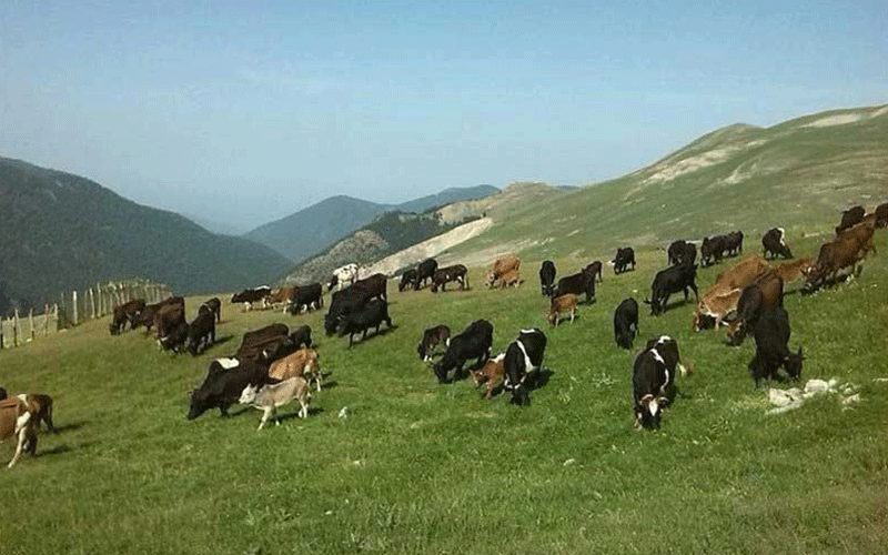 جاذبه های گردشگری اسالم به خلخال