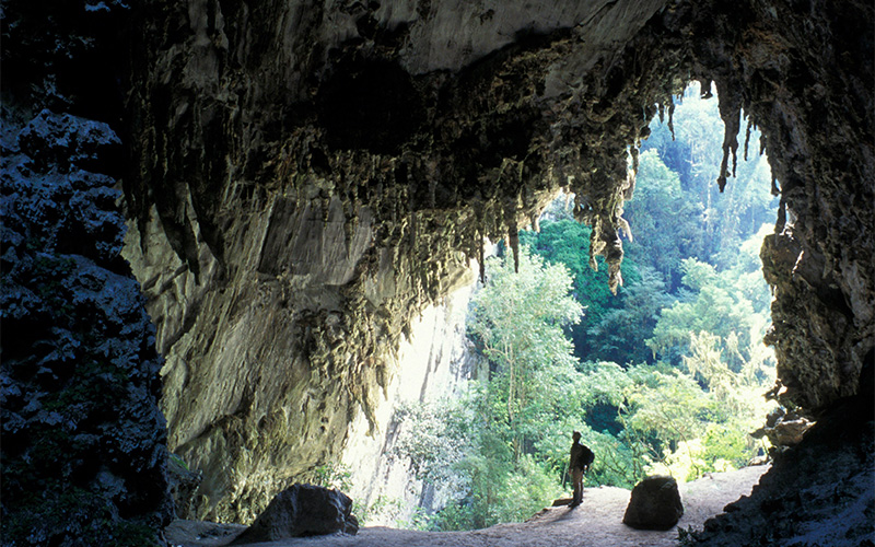 غار تمیمینا