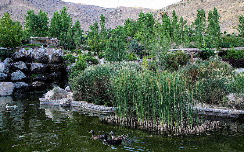 آبشار تهران