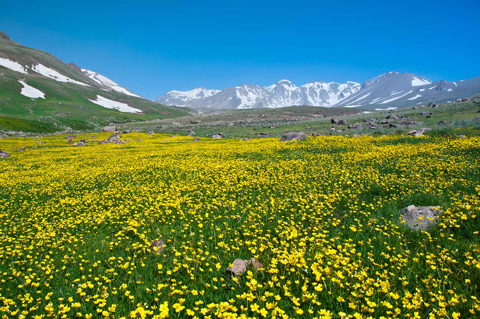 سبلان