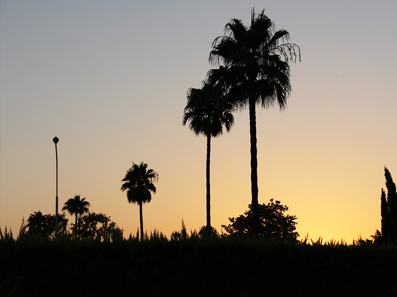روستای-کرفون
