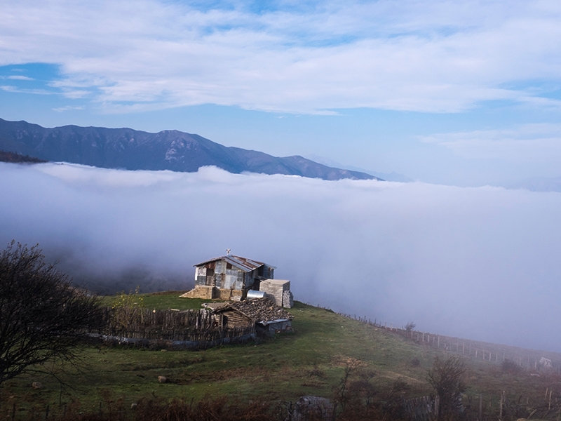 طبیعت-بکر-چمستان