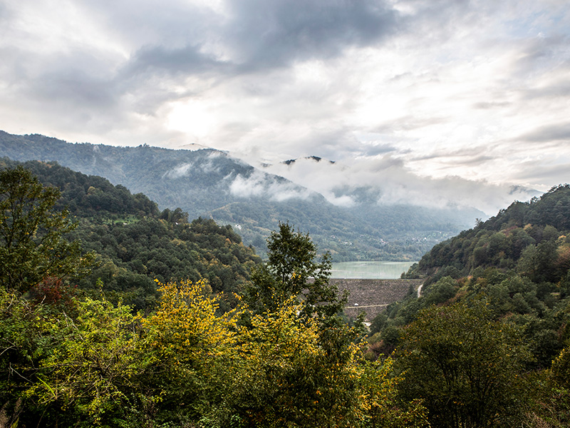 طبیعت رامسر طبیعت رامسر