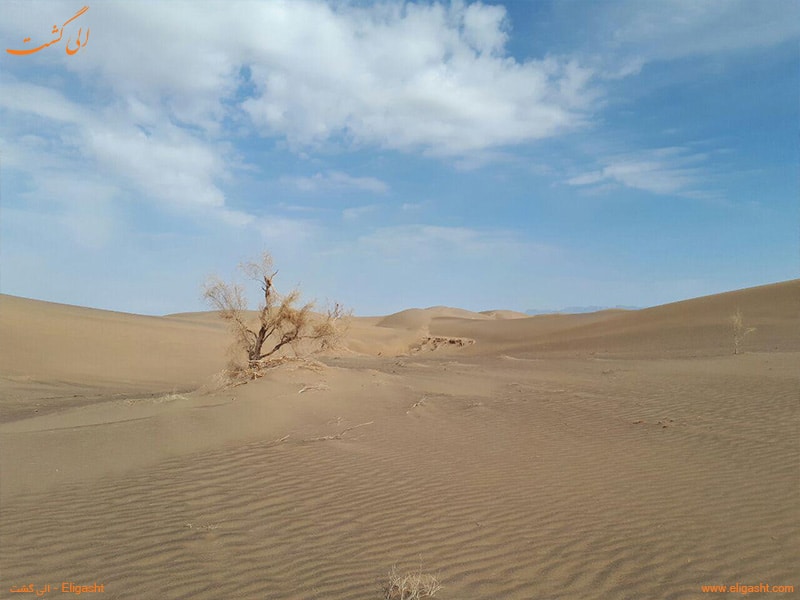 کویر حلوان در خراسان جنوبی - کویر های ایران - الی گشت