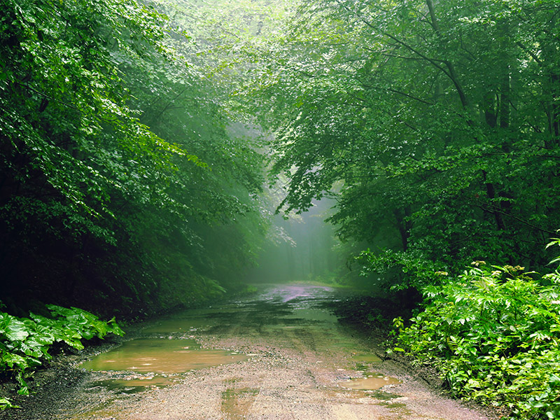 طبیعت-آمل