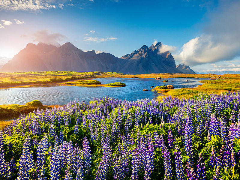 فیلم زندگی پنهان والتر میتی در طبیعت زیبای ایسلند