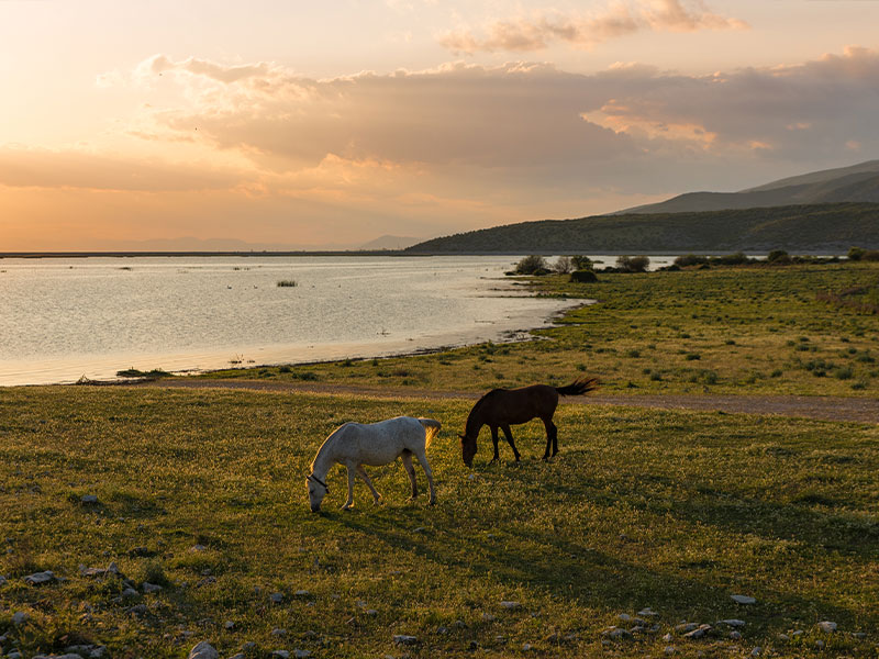 طبیعت اطرف پلاستیرای یونان