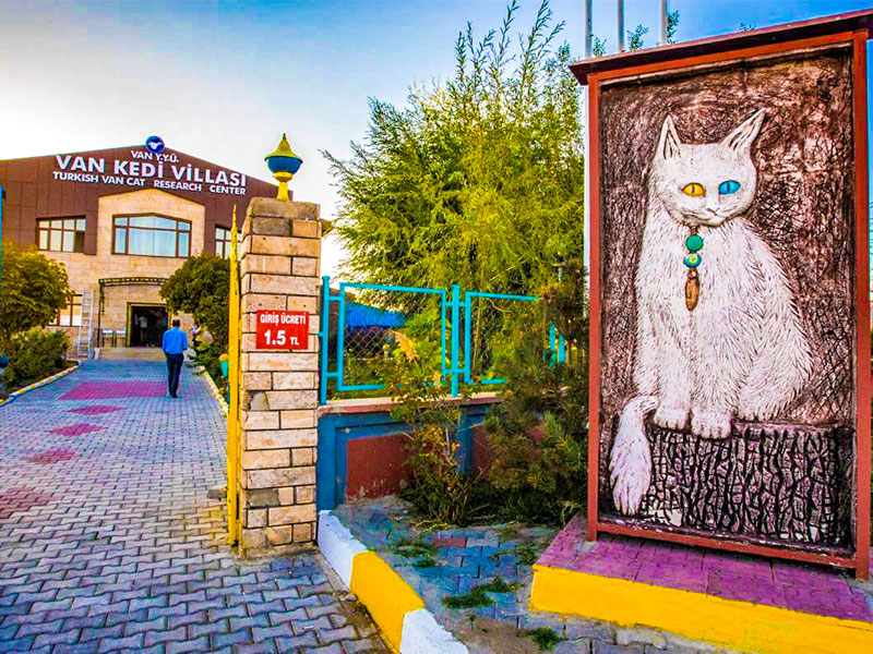 معرفی خانه گربه های وان - van kedi villas