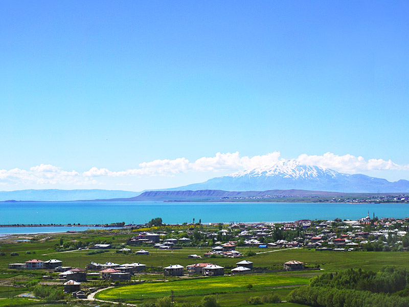 وان ترکیه