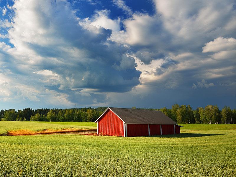کشور فنلاند