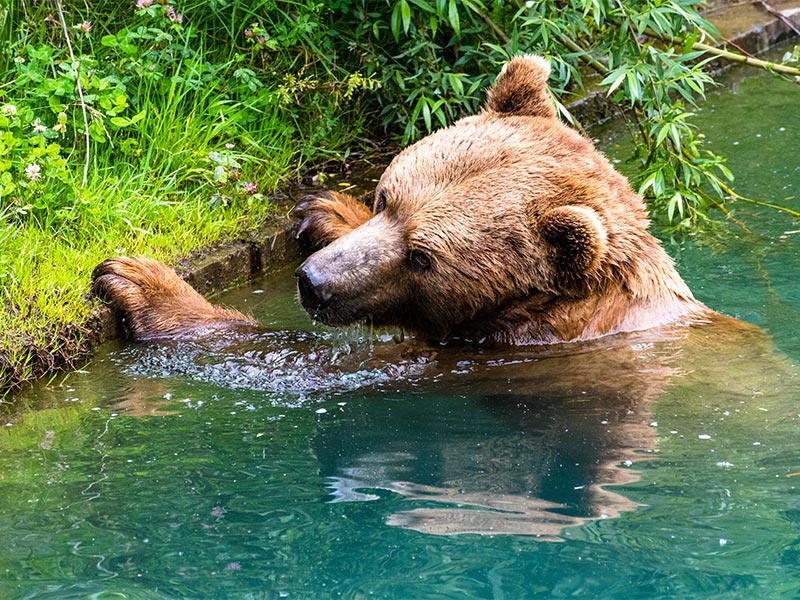 جاذبه های برن