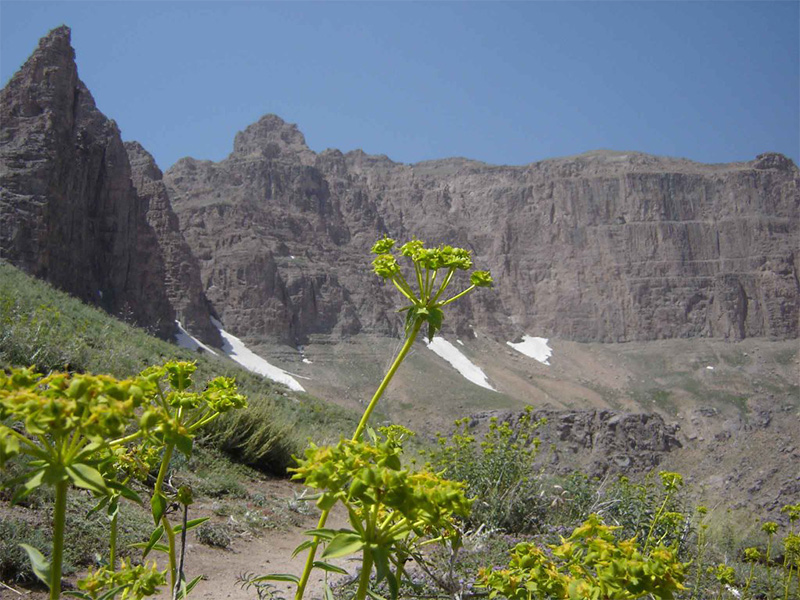 کوه های یزد کوه برفخانه طرزجان