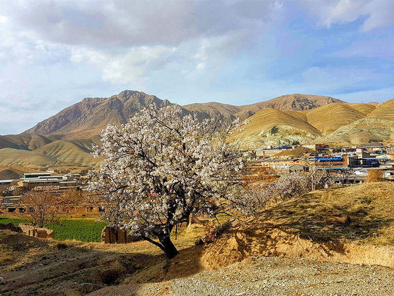 جاذبه های جاده هراز | پارک ملی خجیر