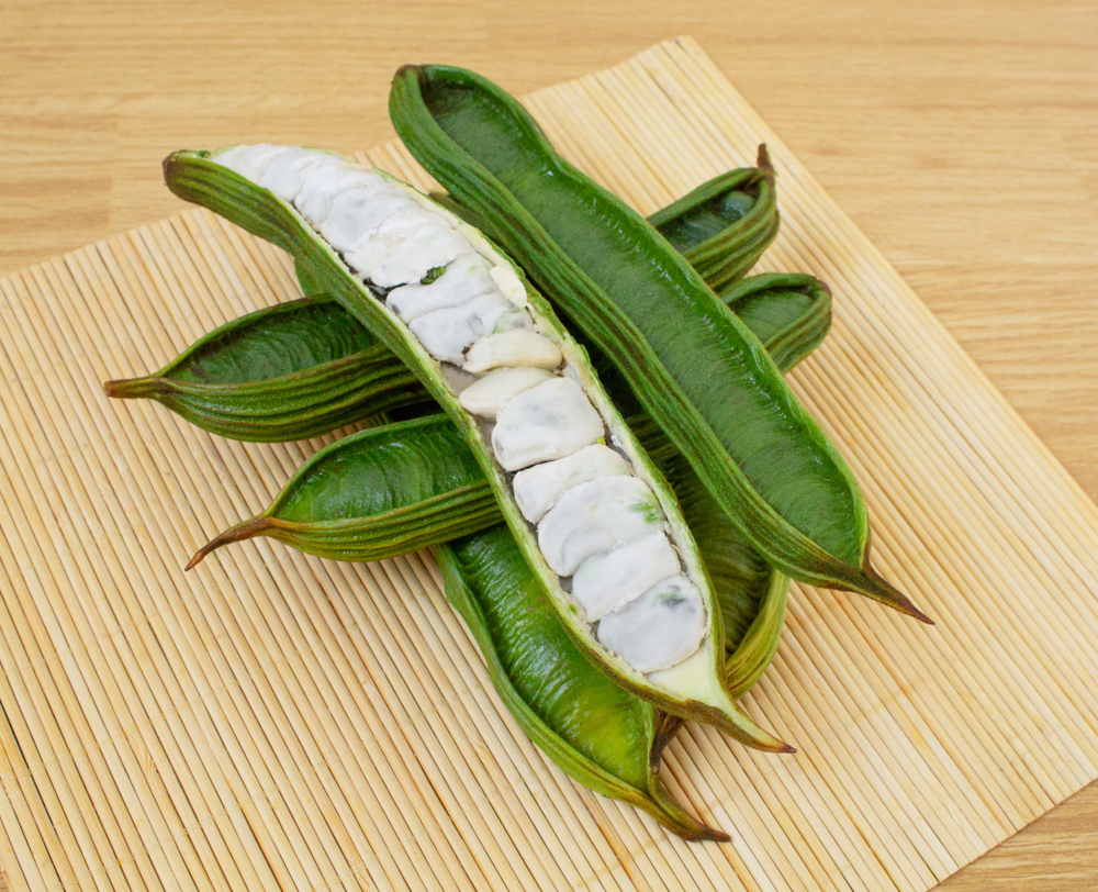 میوه های آمازون