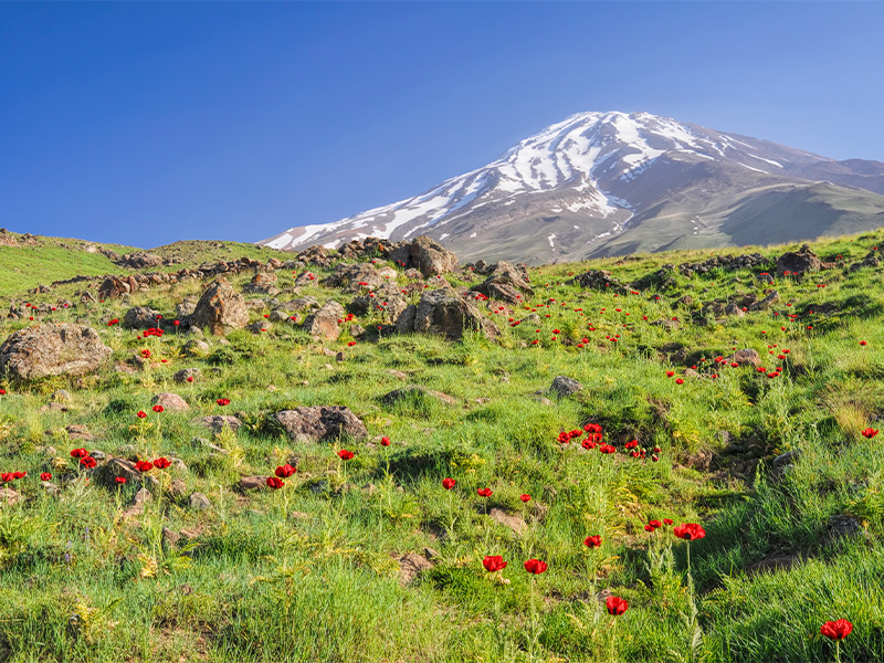 دماوند-ایران