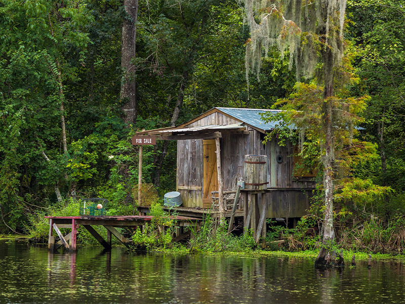 گردشگری برای یافتن نقاط ترسناک در باتلاق های لوئیزیانا