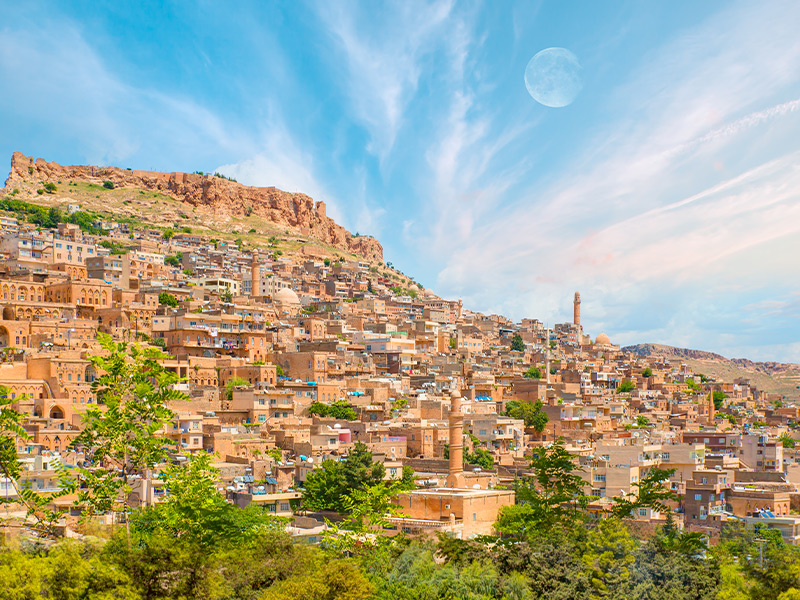 معرفی شهر ماردین