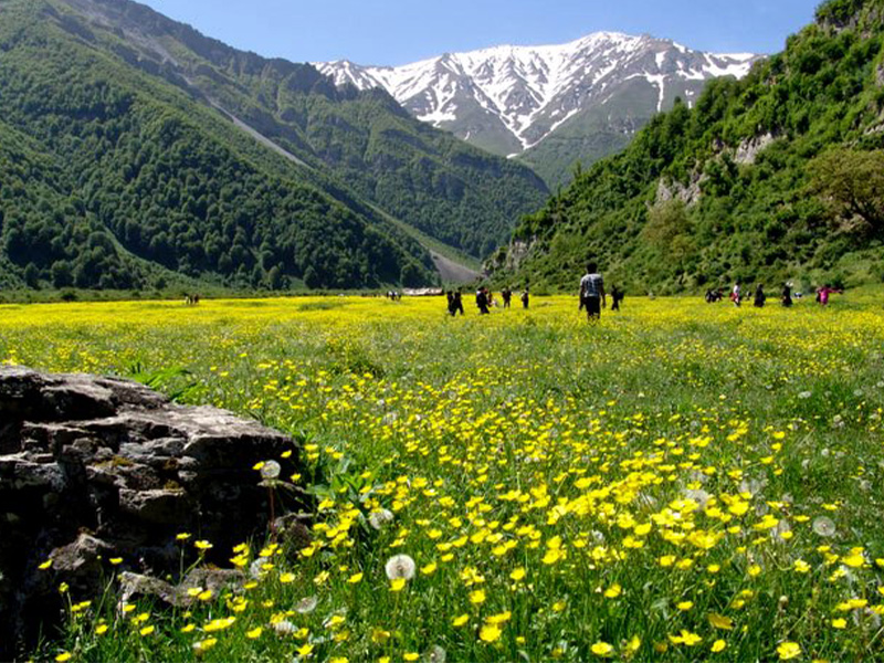 دشت دریا سر تنکابن
