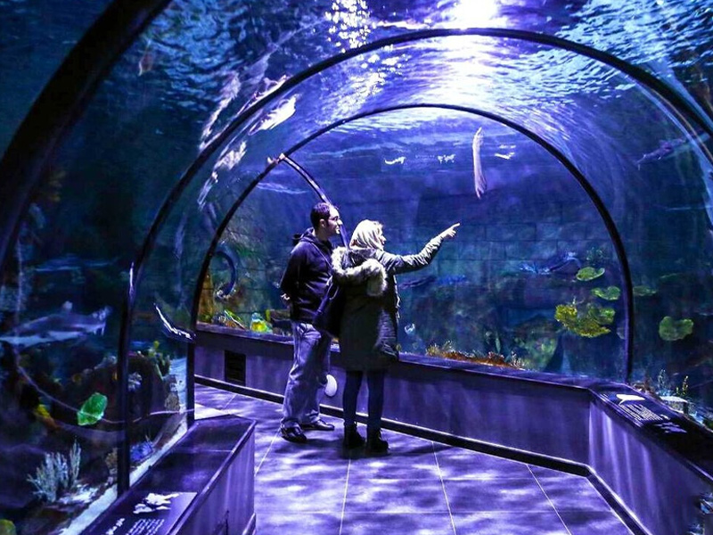 آکواریوم فانتستیک