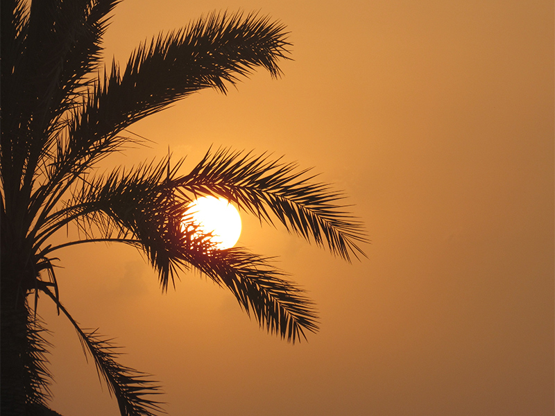 مسیر دسترسی به بندر گناوه