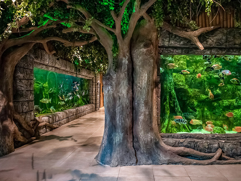 آکواریوم فانتستیک