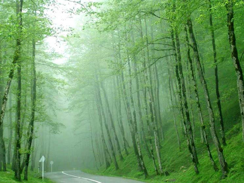 دیدنی های رضوانشهر