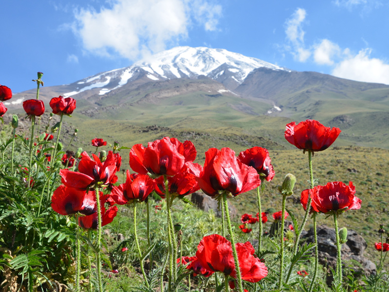 طبیعت بهاری اطراف تهران - الی گشت