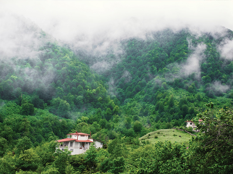 جنگل هادر بهترین مناطق شمال