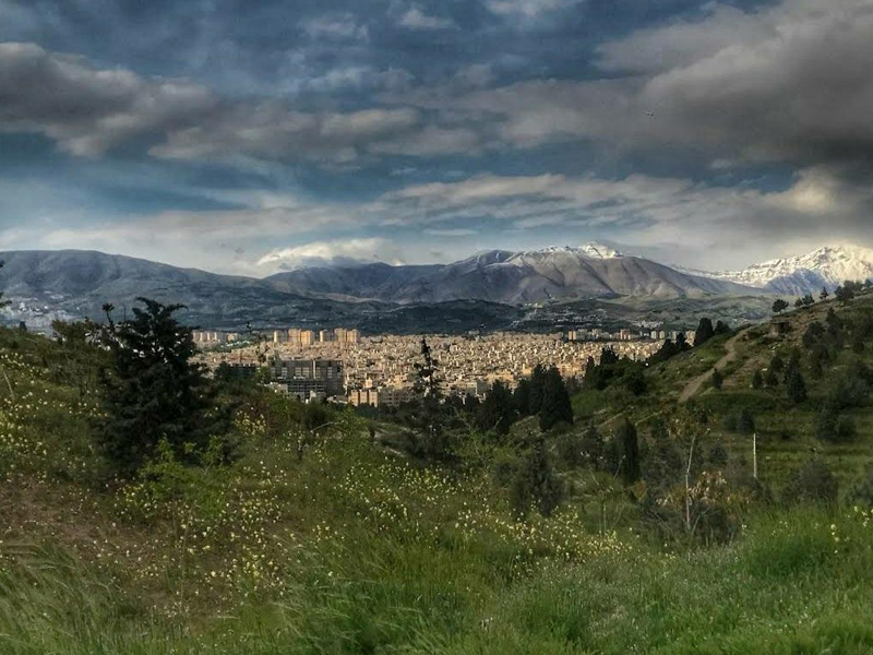 جنگل های اطراف تهران
