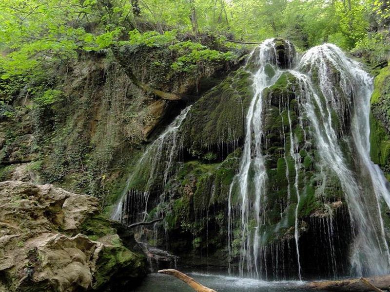 آبشار خزه ای بیگار رومانی