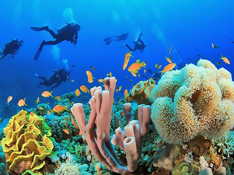 دلایل سفر به گوا