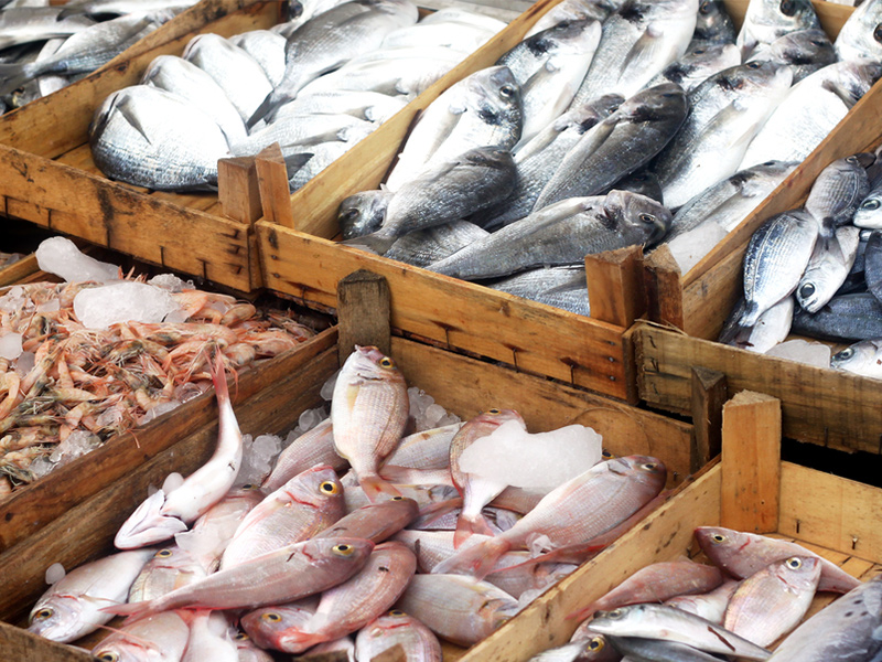 ماهی و میگو بندرعباس - الی گشت