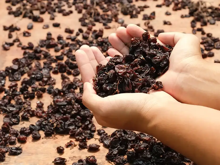 کشمش شهریار -سوغات تهران
