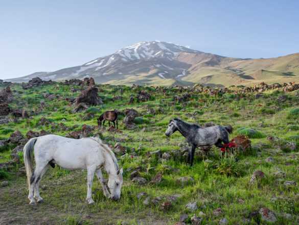 چشمه آب گرم نزدیک تهران - الی گشت